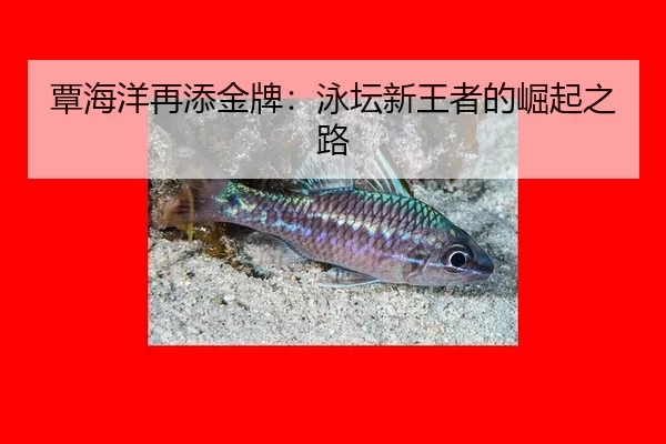 覃海洋再添金牌：泳坛新王者的崛起之路